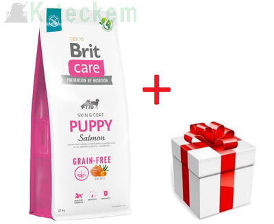 BRIT CARE Dog Grain-free Puppy Salmon 12kg +překvapení 