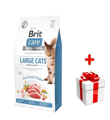 Brit Care Cat Grain Free Large cats Power & Vitality 7 kg + NIESPODZIANKA GRATIS !!!