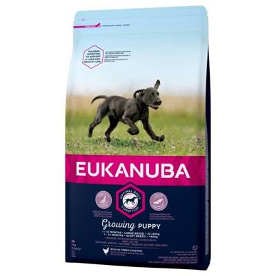 EUKANUBA Puppy&Junior Large Breed 15kg + Překvapení pro psa
