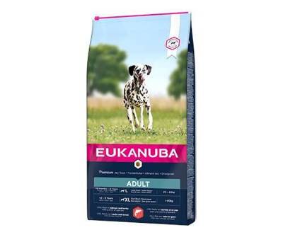 Eukanuba Adult Large Salmon&Barley 12kg + Překvapení pro psa