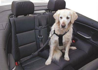 KERBL Bezpečnostní pás pro psy, nastavitelný, 30-60 cm