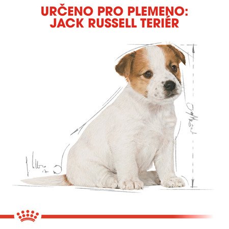 ROYAL CANIN Jack Russell Terrier Junior 1,5kg 