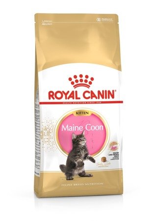 ROYAL CANIN Maine Coon Kitten 4kg 