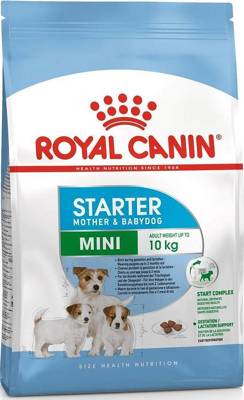 ROYAL CANIN Mini Starter Mother & Babydog 8kg 