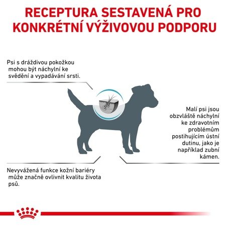 ROYAL CANIN Skin Care Small SKS25 4kg