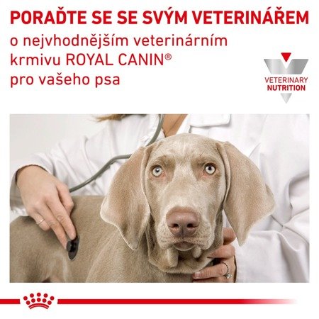 ROYAL CANIN Urinary S/O  24x410g konzerva