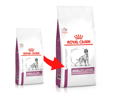 Royal canin Veterinary Diet Dog Dry Mobility Support 12 kg + PŘEKVAPENÍ GRATIS !!!!!!